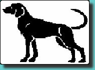 chien.jpg