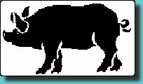 cochon.jpg