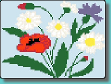 coquelicots.jpg