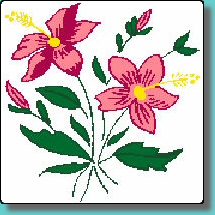 fleur003.jpg