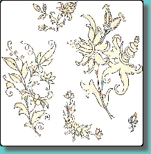 fleur005.jpg