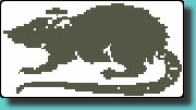 rat2.jpg
