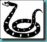 serpent.jpg