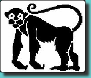 singe.jpg