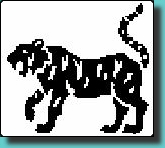 tigre.jpg